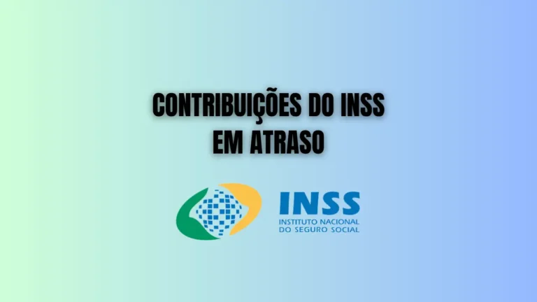 Regularizar Contribuições ao INSS - BR Bonsai